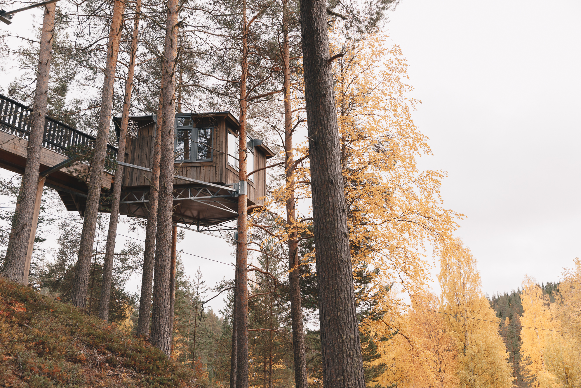 Timber cabins raised on posts among tall trees beside a river.